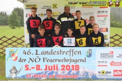 Landestreffen der NOe Feuerwehrjugend