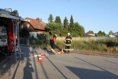 IMG_5897