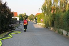 IMG_5939